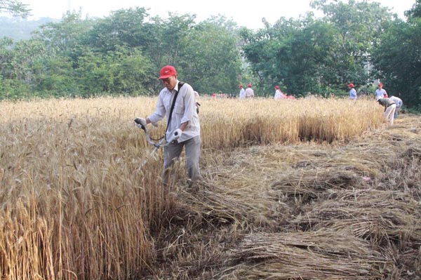 爱游戏（ayx）中国官方网站