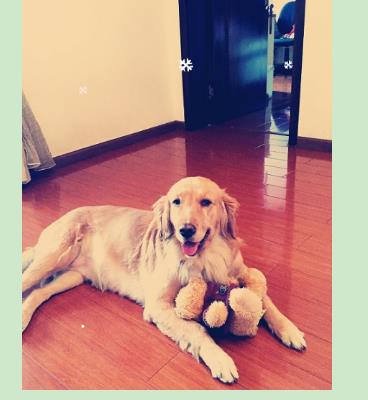 爱游戏（ayx）中国官方网站