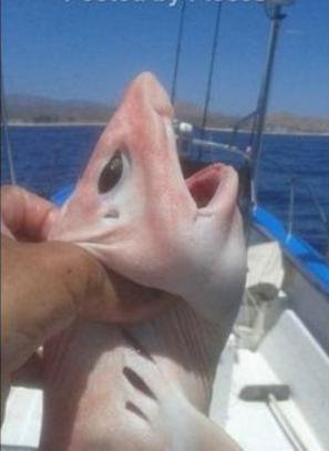 爱游戏（ayx）中国官方网站