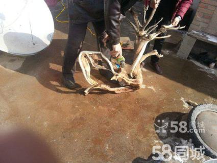 ayx官网-绿色金融保险发力 信息共享破环责险瓶颈