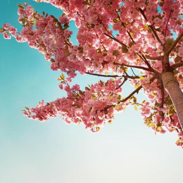 爱游戏（ayx）中国官方网站