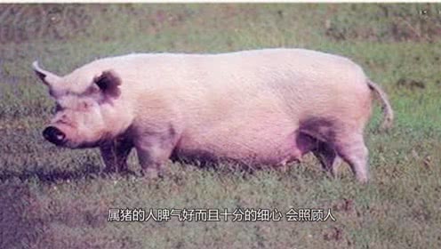 爱游戏（ayx）中国官方网站