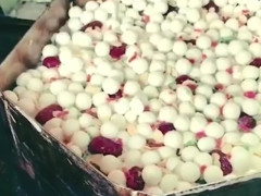 证监会：正在核实对新城控股的举报内容“ayx官方网站”