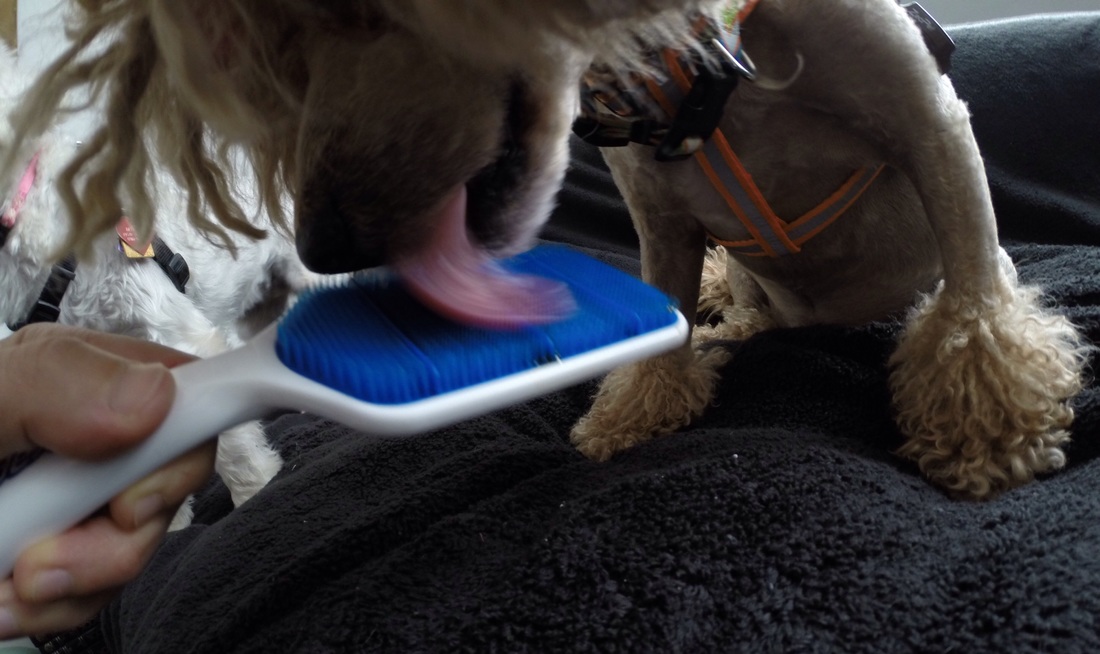 “爱游戏（ayx）中国官方网站”洛阳科技职业学院董继承老师：弘扬志愿精神携手共筑