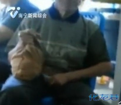 2017年青海高考成绩什么时候出来?【爱游戏（ayx）中国官方网站】