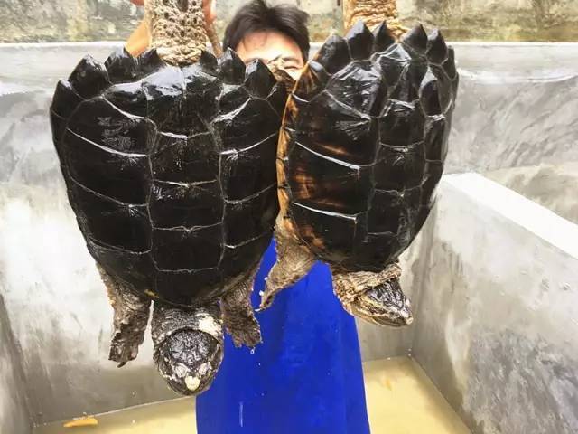 爱游戏（ayx）中国官方网站