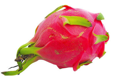 爱游戏（ayx）中国官方网站