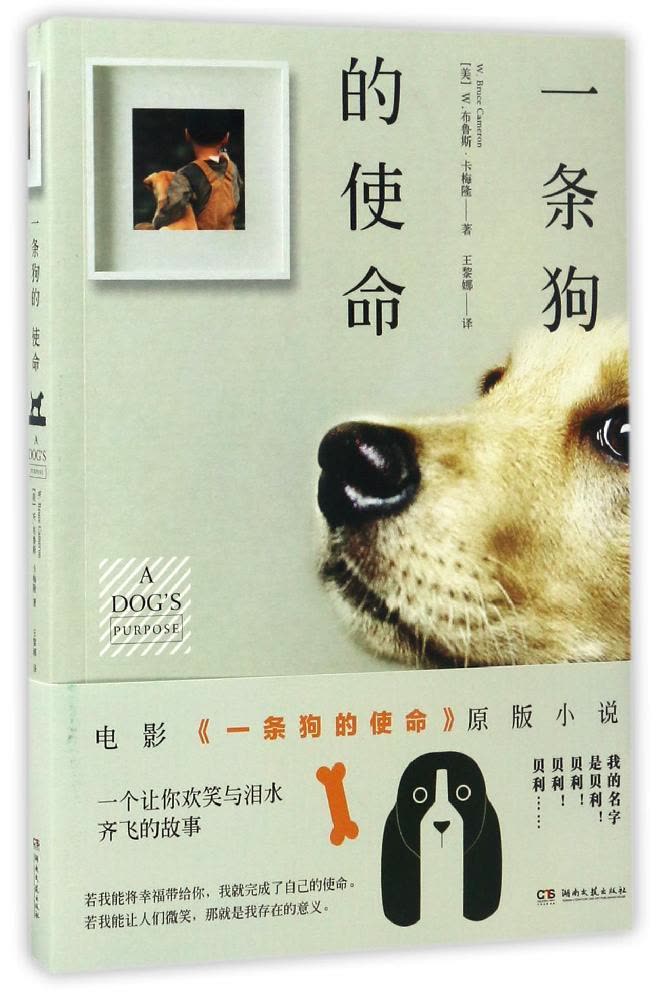 “ayx官网”饮料龙头跨界智能装备领域出新招 娃哈哈设立智能机器人公司