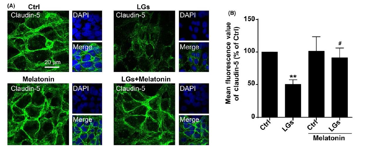 ayx官网-商丘工学院经济与管理学院举办“共建生态文明，共享绿色家园”主题团日活
