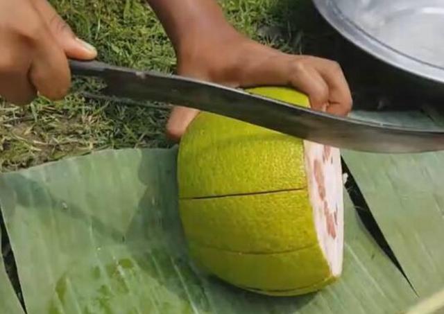 ayx官方网站|暂不具备将健康体检纳入医保条件(图4) ayx官网