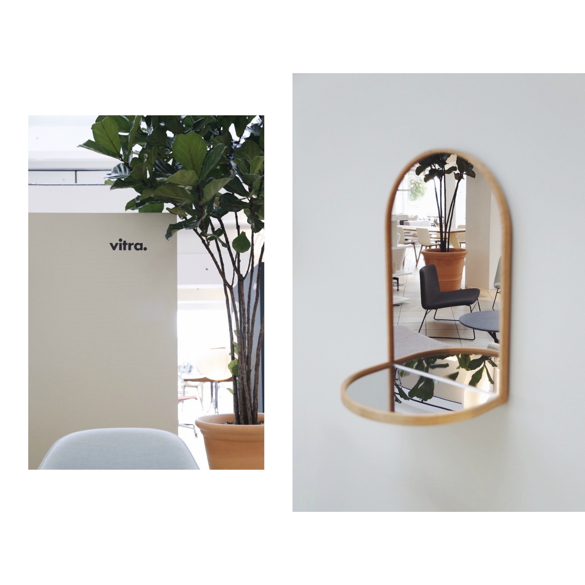 老年人意外险上线四个月 杭州近六成老人投保:爱游戏(ayx)中国官方网站(图2) ayx官方网站