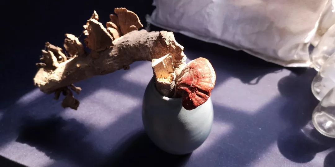 【ayx官方网站】2019年2月18日保险周新闻头条合集(图2) 爱游戏(ayx)中国官方网站