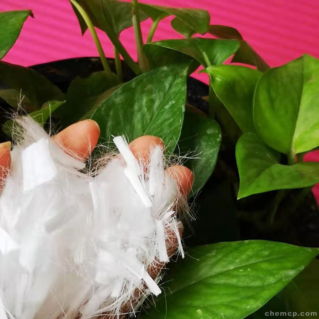 ayx官方网站-莱茵置业为子公司提供担保