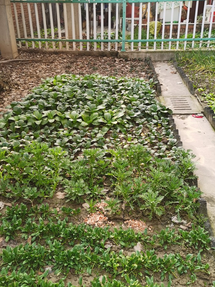 爱游戏（ayx）中国官方网站