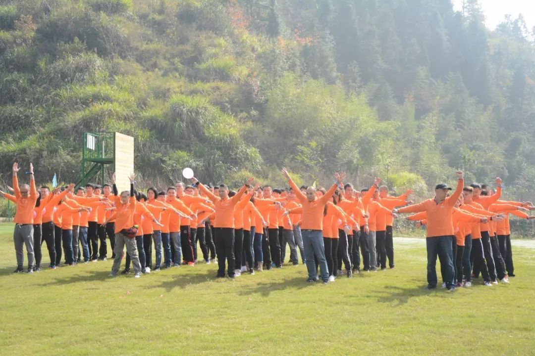 上海保险合同纠纷调解委十年成功调解近800件-爱游戏（ayx）中国官方网站