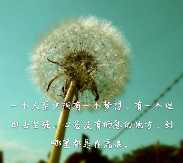 ‘ayx官网’康为民代表:让保险来担保诉讼保全