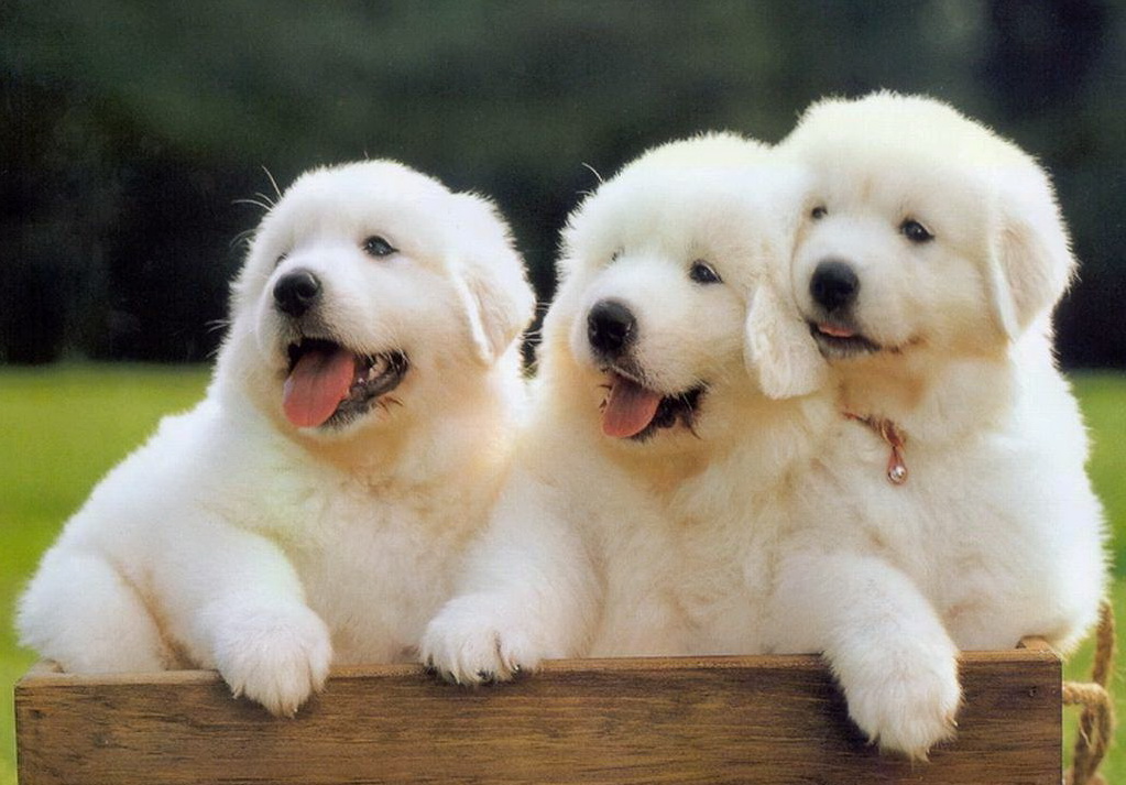 ayx官方网站-天津城投：成功发行15亿