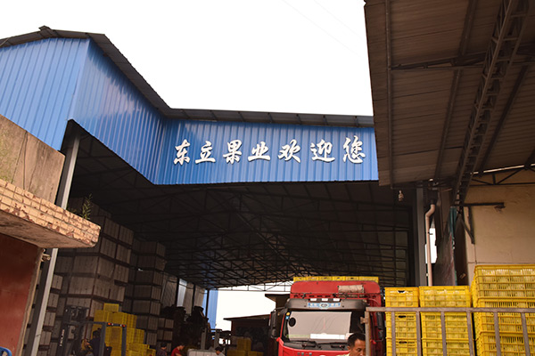 ayx官方网站|融创中国：延期两个月寄发乐视3公司投资事项通函