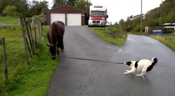 爱游戏（ayx）中国官方网站