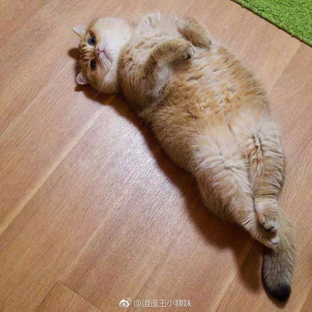 爱游戏（ayx）中国官方网站