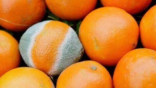 爱游戏（ayx）中国官方网站