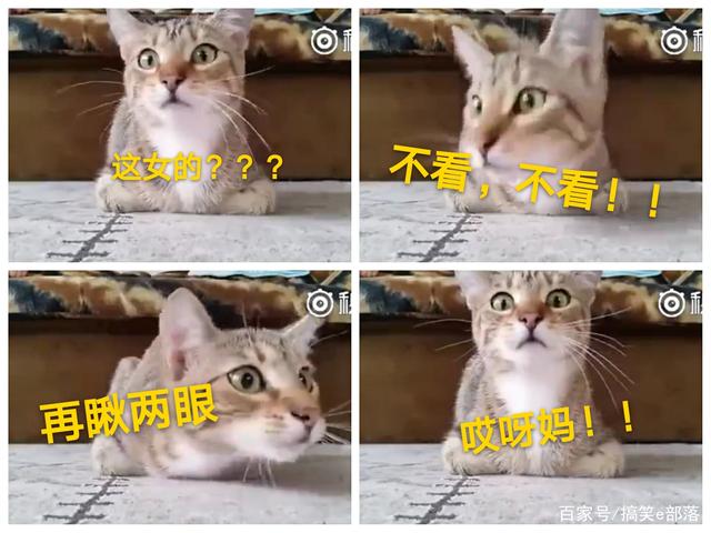 香港楼市样本|量价齐跌，20年前悲剧会否重演-ayx官方网站