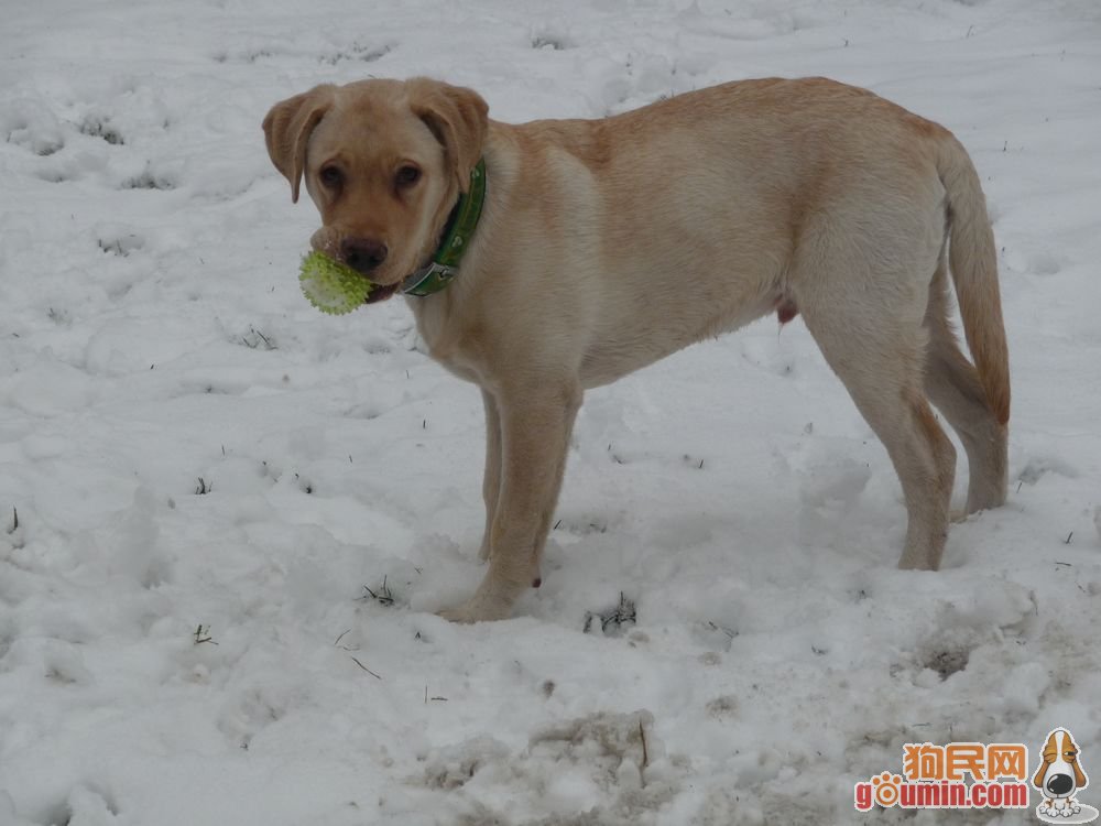 爱游戏（ayx）中国官方网站