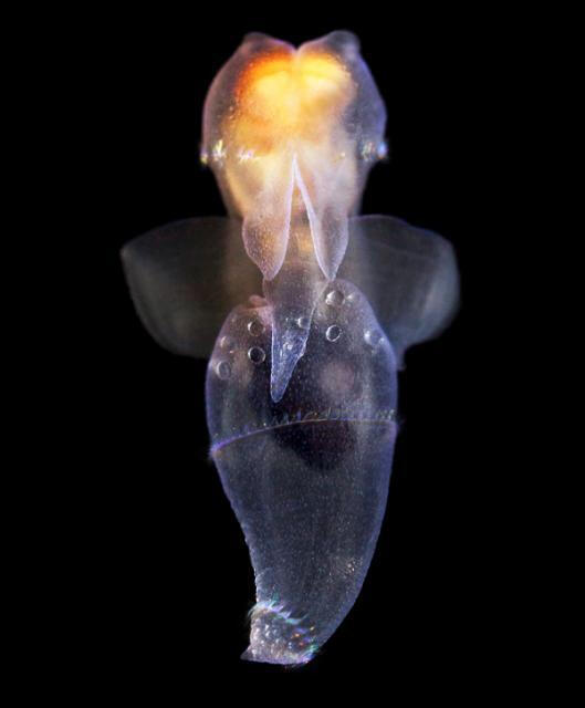 爱游戏（ayx）中国官方网站