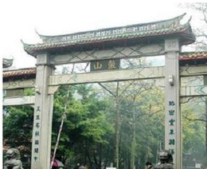 爱游戏（ayx）中国官方网站|国家推进险资对接PPP重大项目 平安、国寿试水