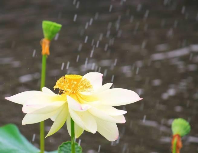 ‘爱游戏(ayx)中国官方网站’擅自转租 收回公租房(图2) 爱游戏(ayx)中国官方网站