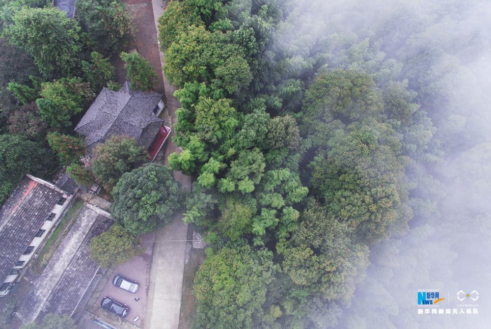 【ayx官网】官方！2019年辽阳养老金调整最新信息：最低标准提高至108元