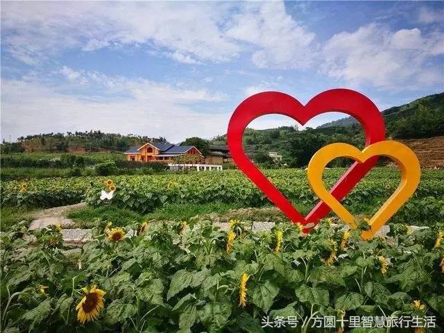 ayx官网-2017年山东高考成绩什么时候出来?