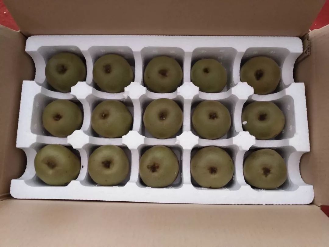 ayx官方网站